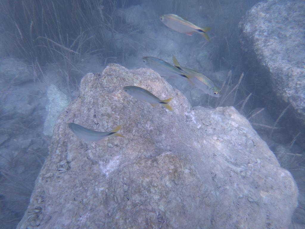 Casa Lamat Bacalar Esterno foto